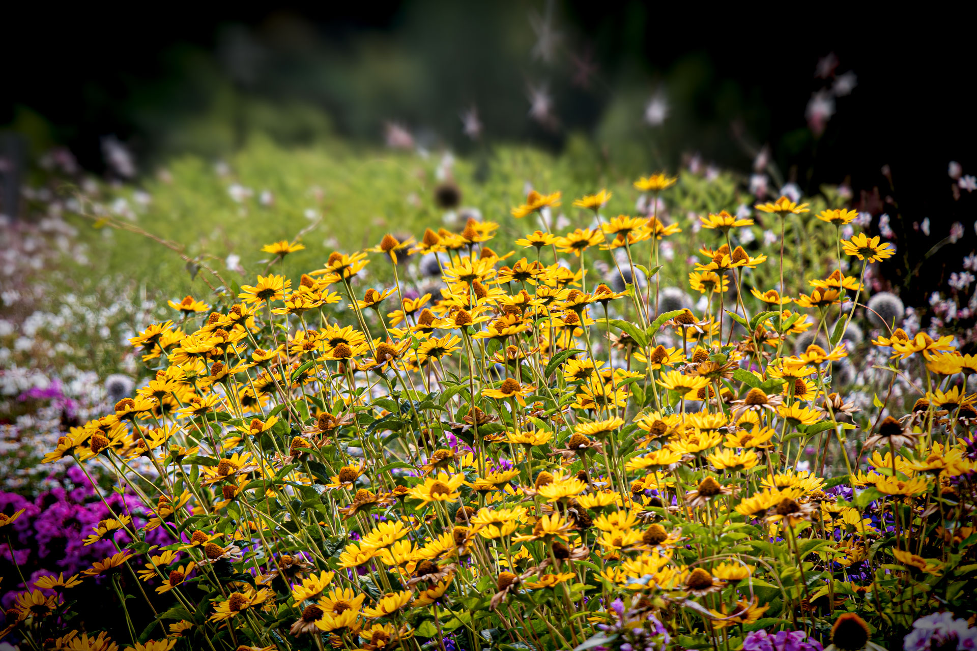 Gärten der Welt in Berlin