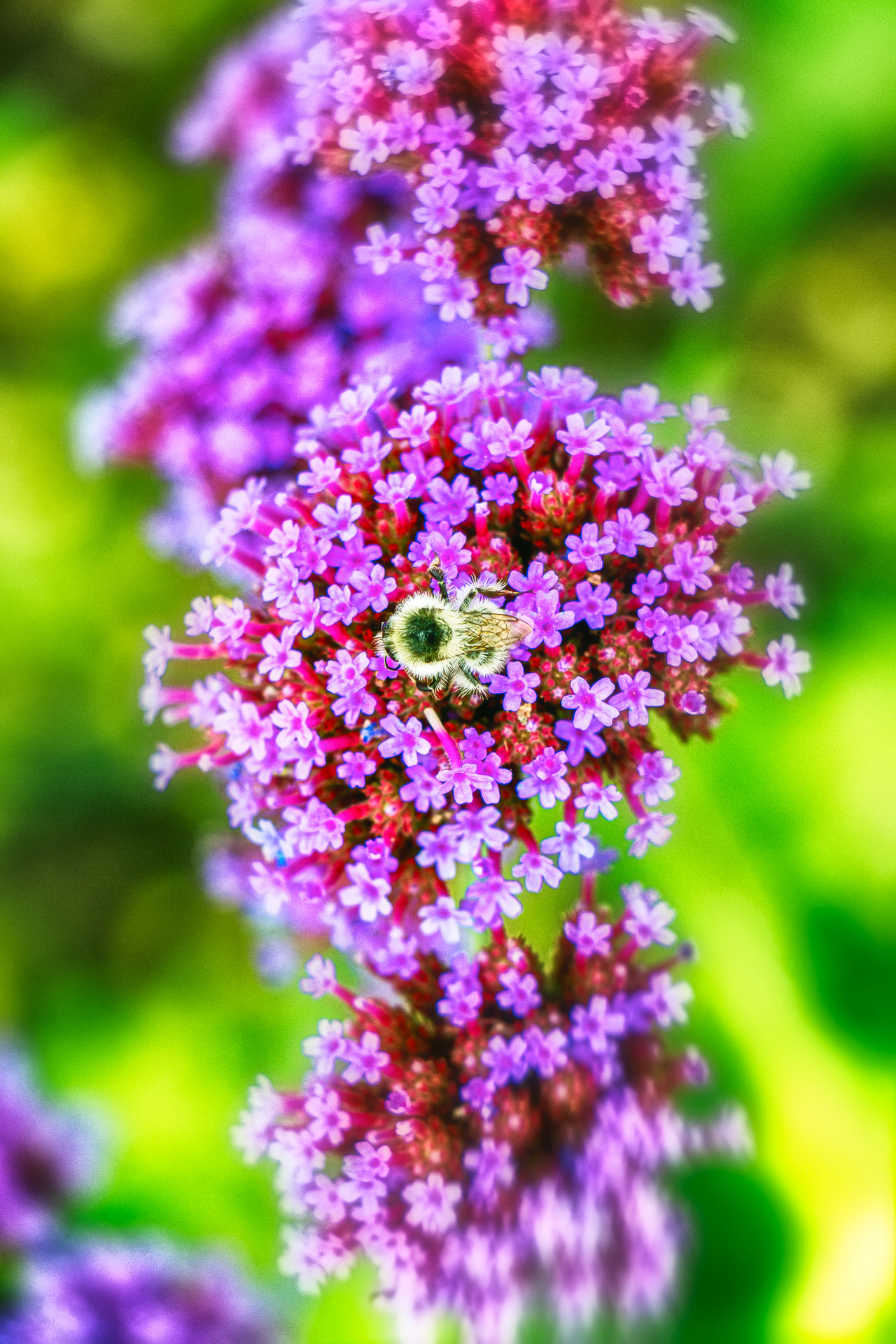 Gärten der Welt in Berlin