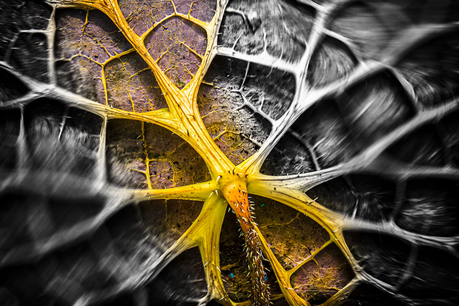 2024 Urlaub Rügen, Botanische Gärten Greifswald