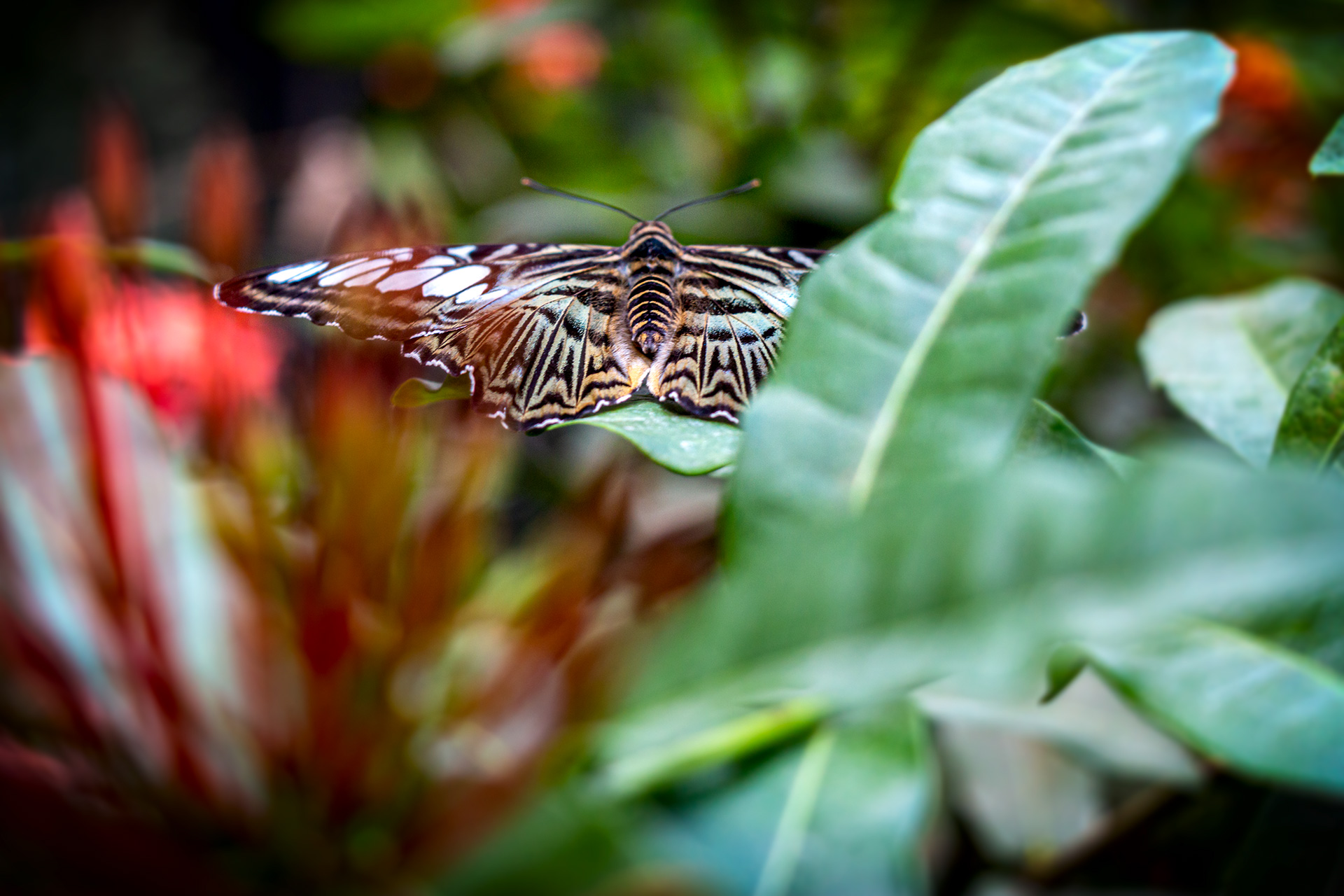 2022 Potsdam Biosphärenreservat