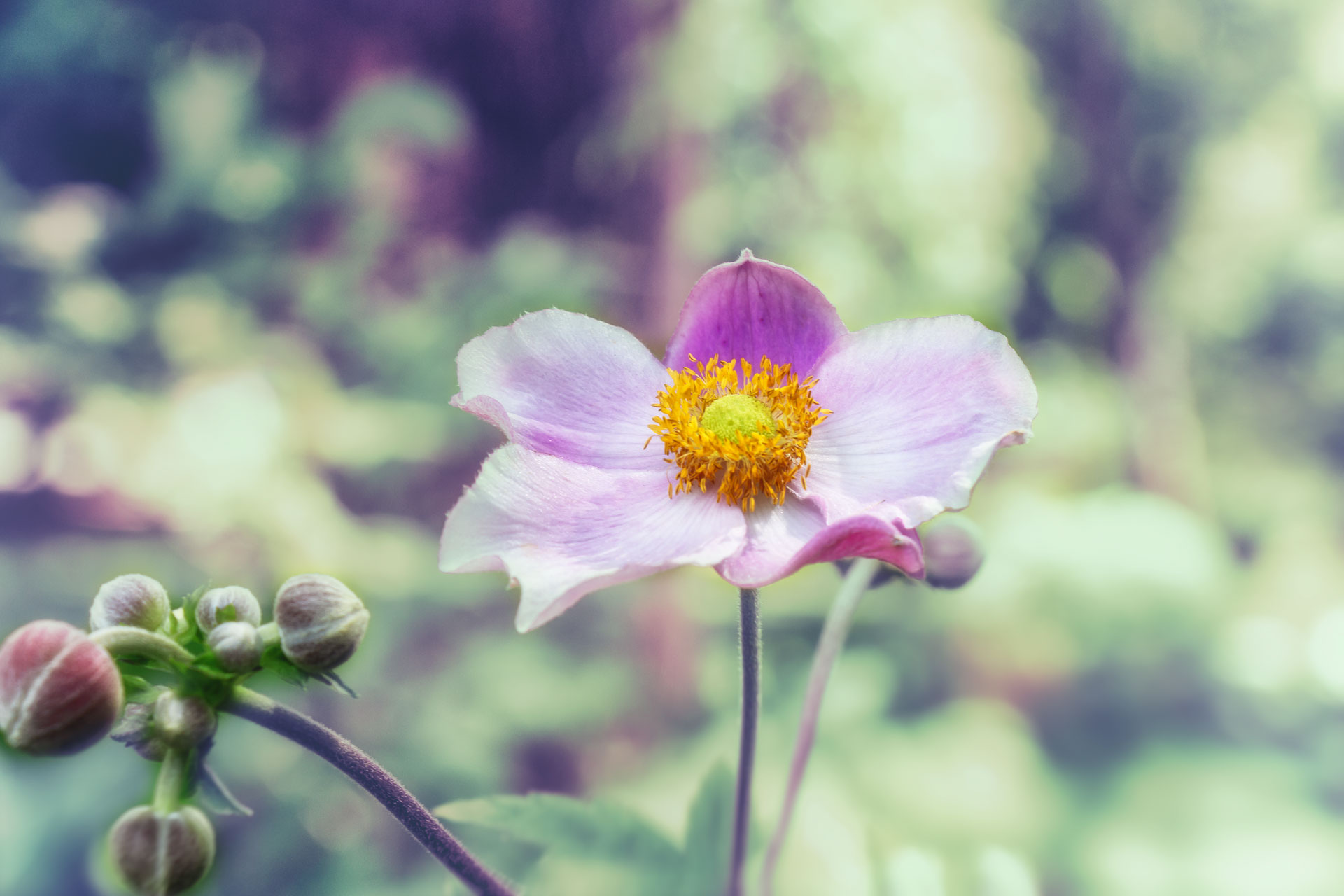 Gärten der Welt in Berlin