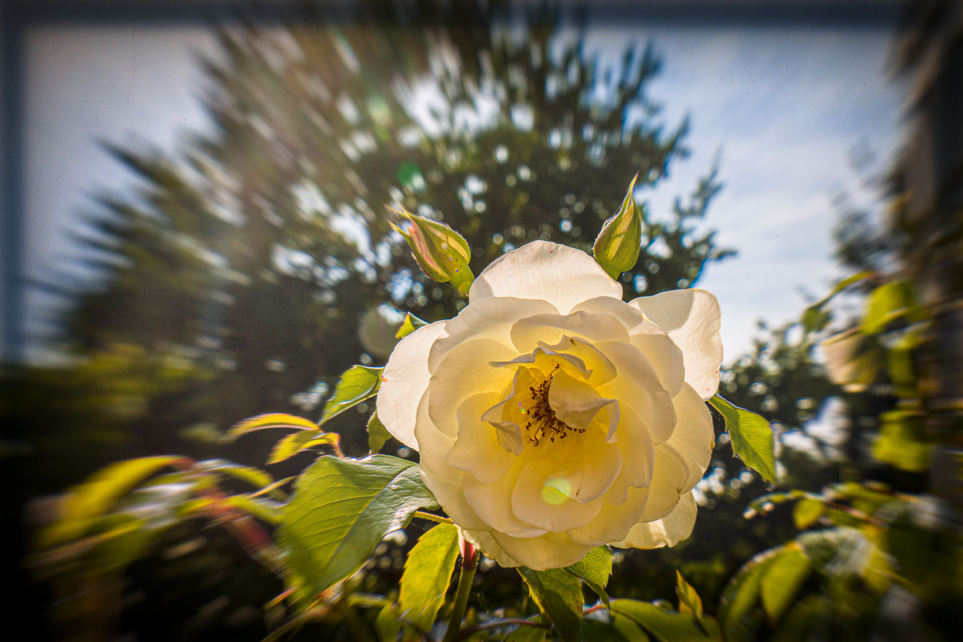2024 Urlaub Rügen, Schloß und Park Putbus