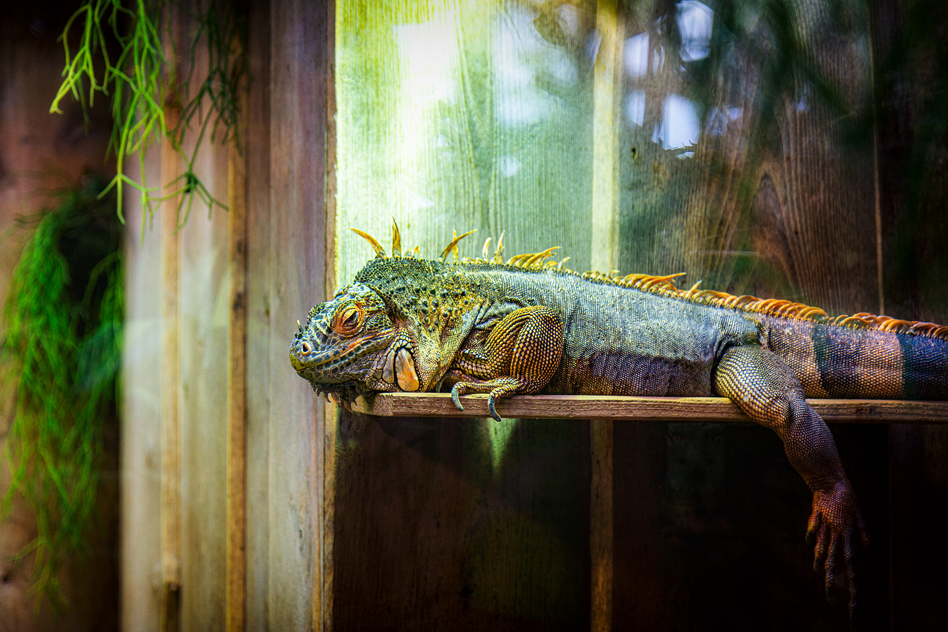 Potsdam Biosphärenreservat