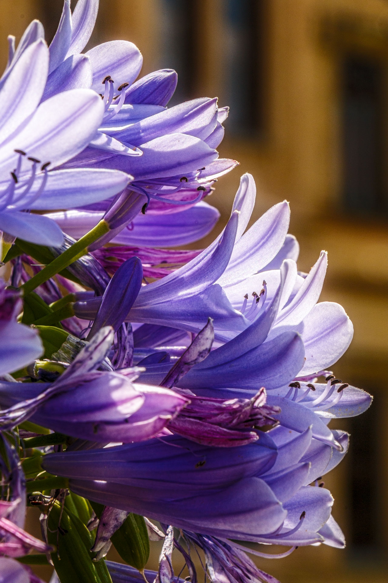 Schloßpark Babelsberg