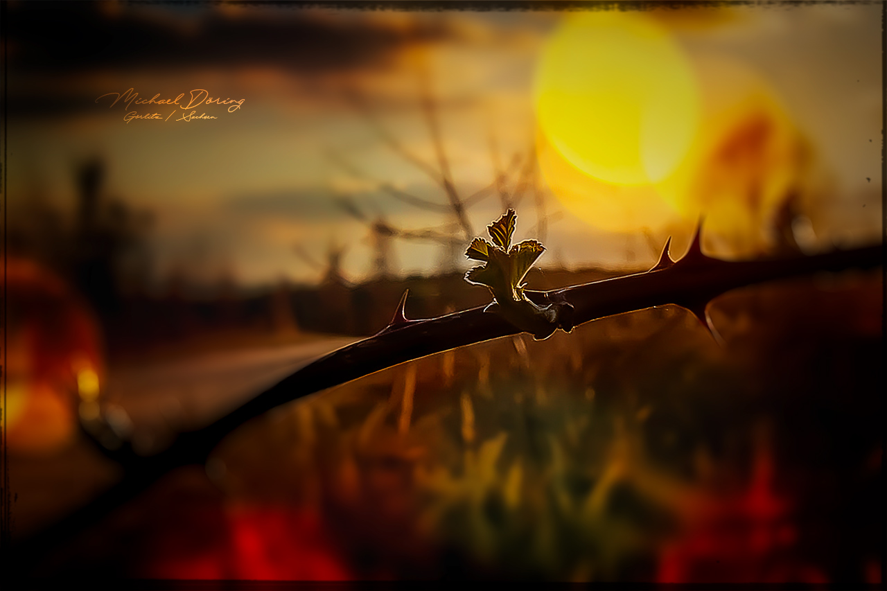 2020 Berzdorfer See / Tagebau Bagger