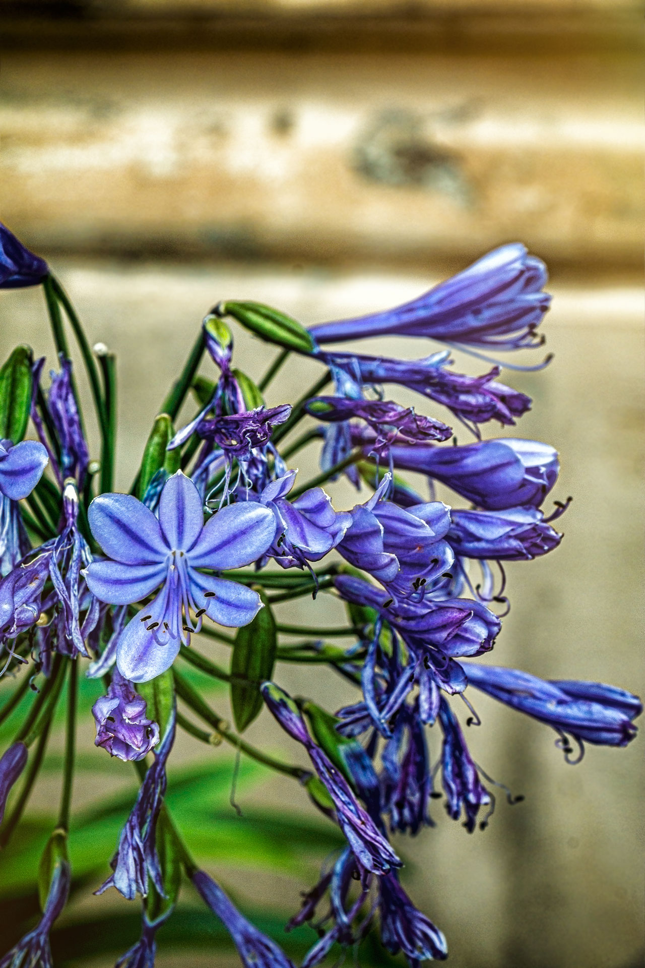 Schloßpark Babelsberg