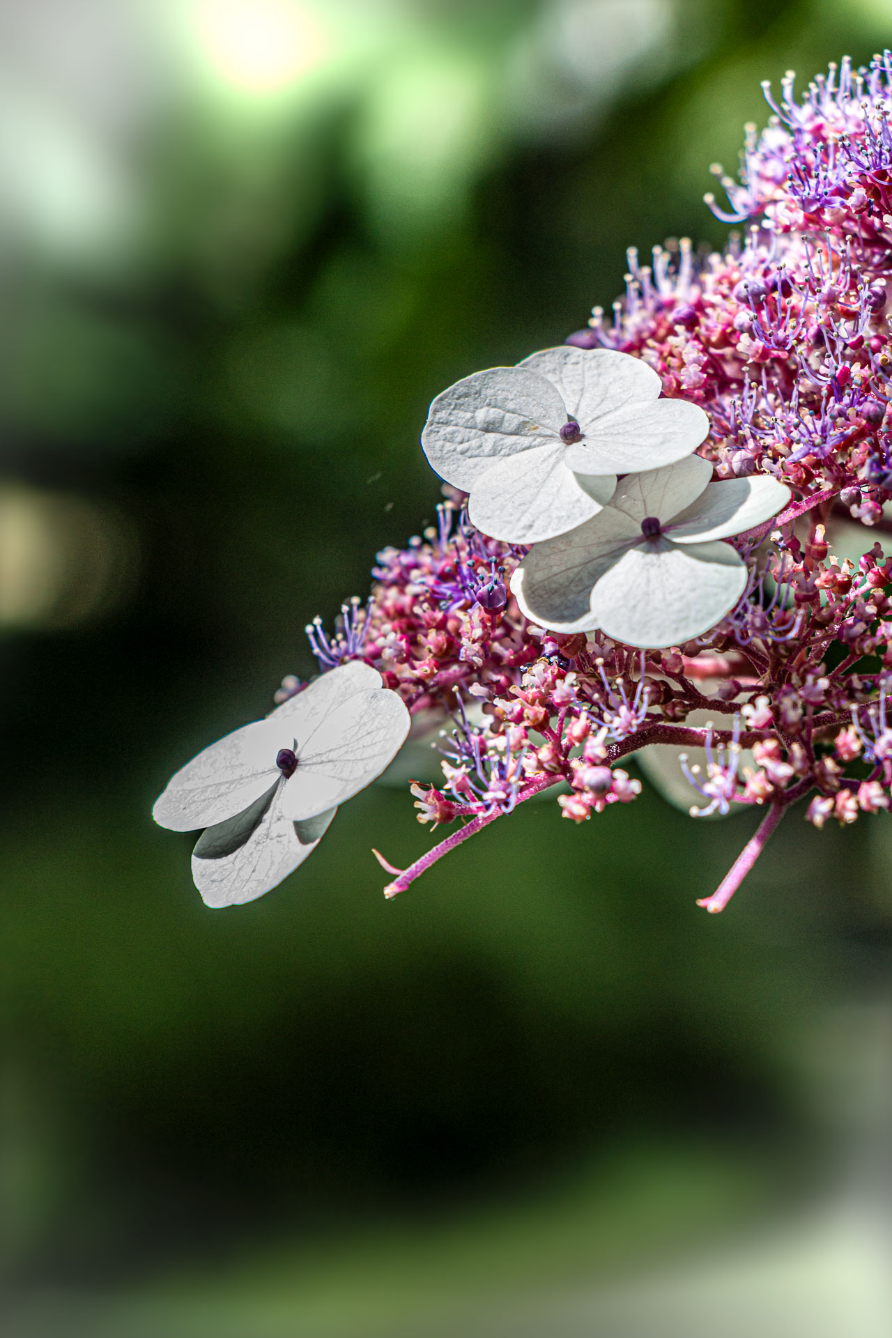 Gärten der Welt in Berlin