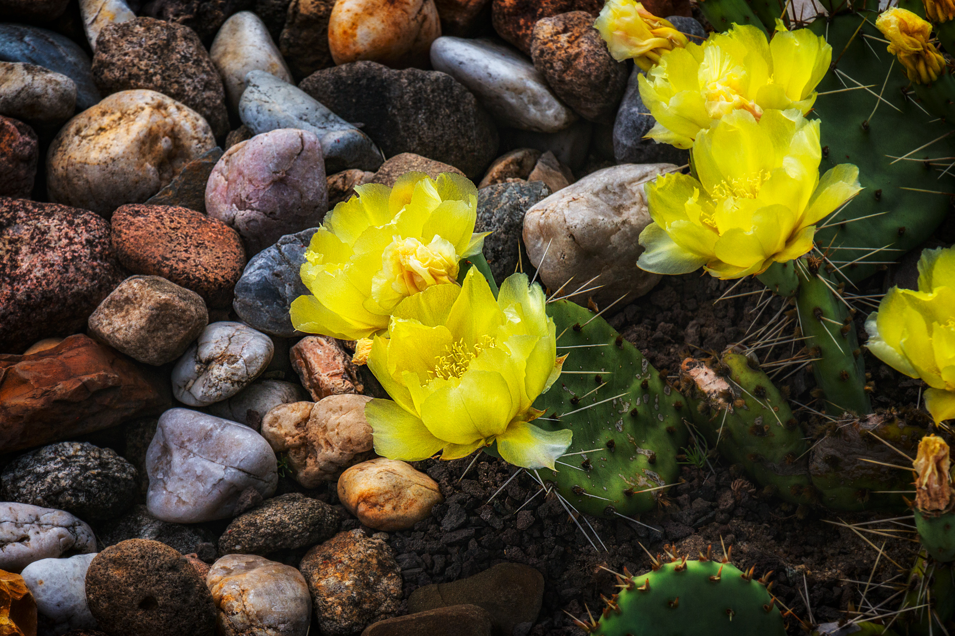 Findlingspark Nochten