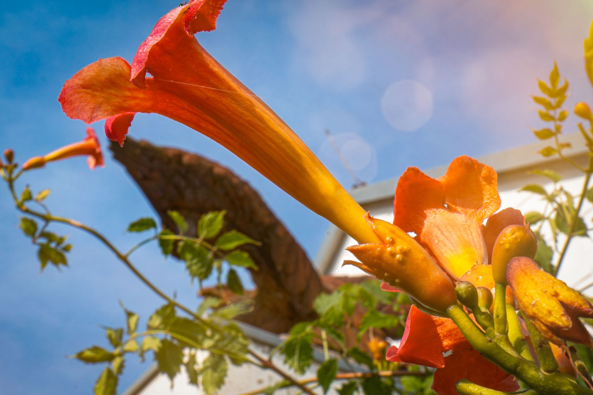 2024 Urlaub Rügen, Schloß und Park Putbus