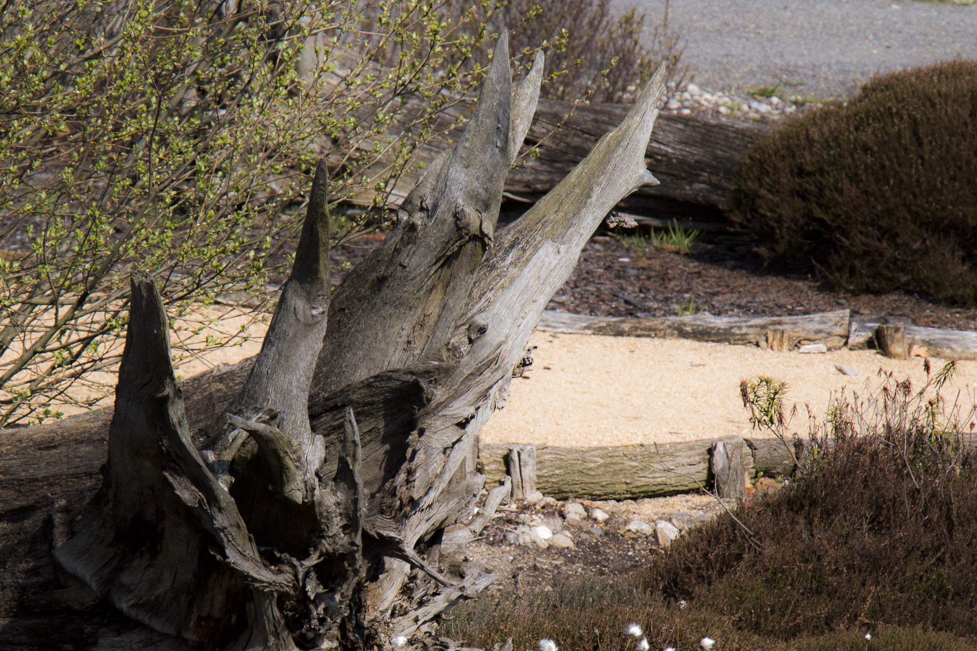 2016 Findlingspark Nochten